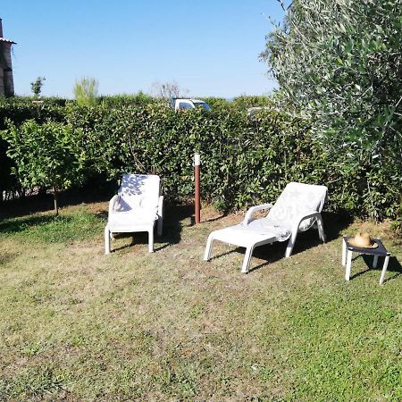 L'Aia Degli Olivi Apartman Vada Kültér fotó