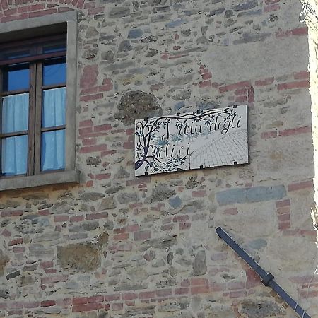 L'Aia Degli Olivi Apartman Vada Kültér fotó