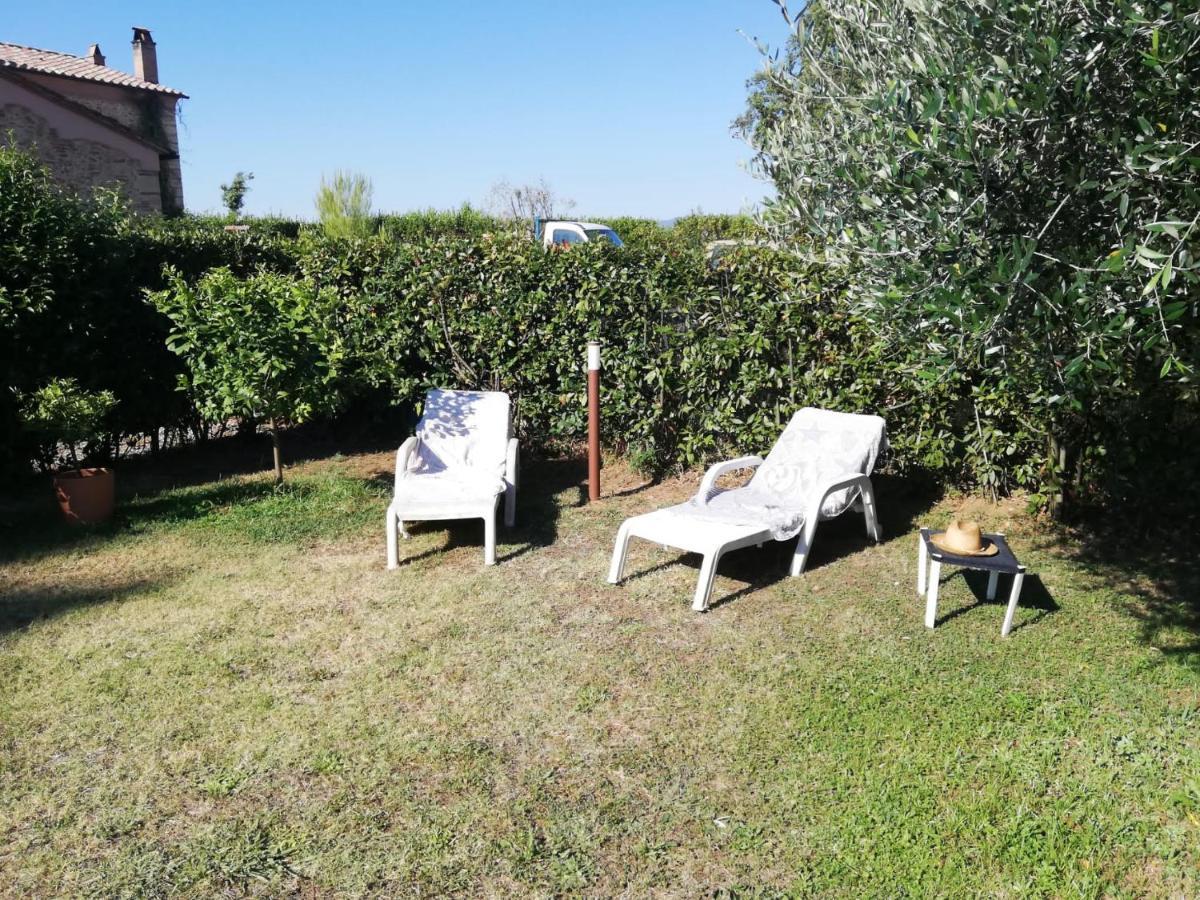 L'Aia Degli Olivi Apartman Vada Kültér fotó