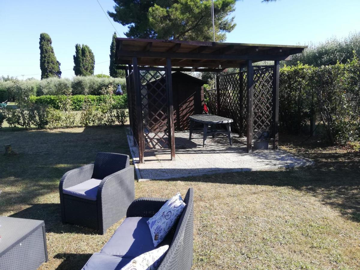 L'Aia Degli Olivi Apartman Vada Kültér fotó
