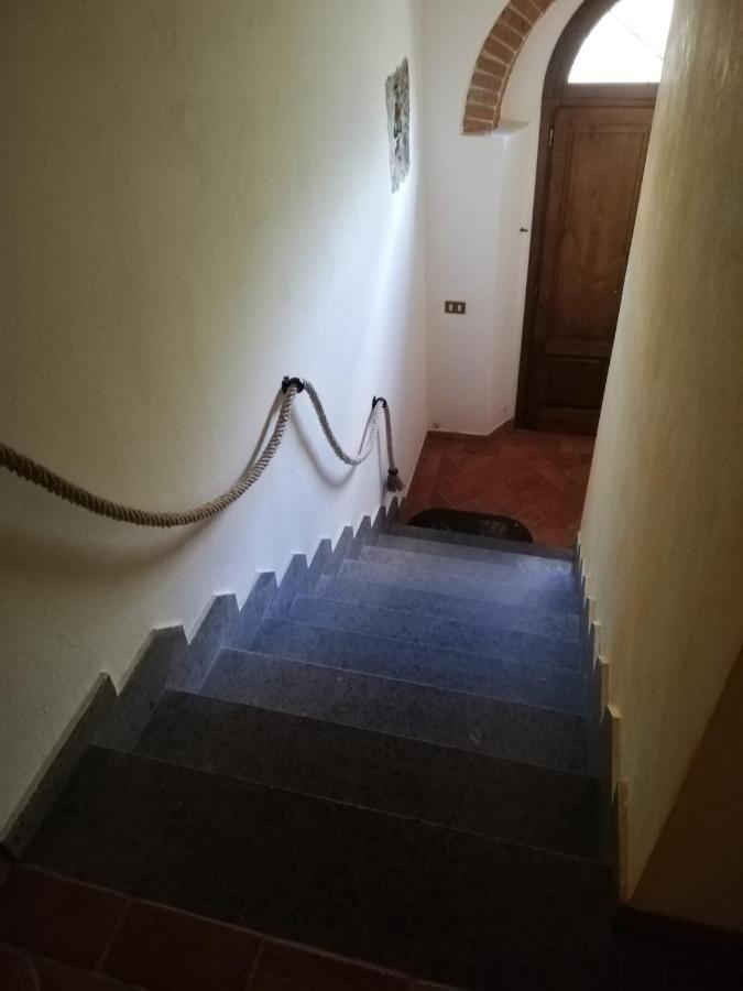 L'Aia Degli Olivi Apartman Vada Kültér fotó