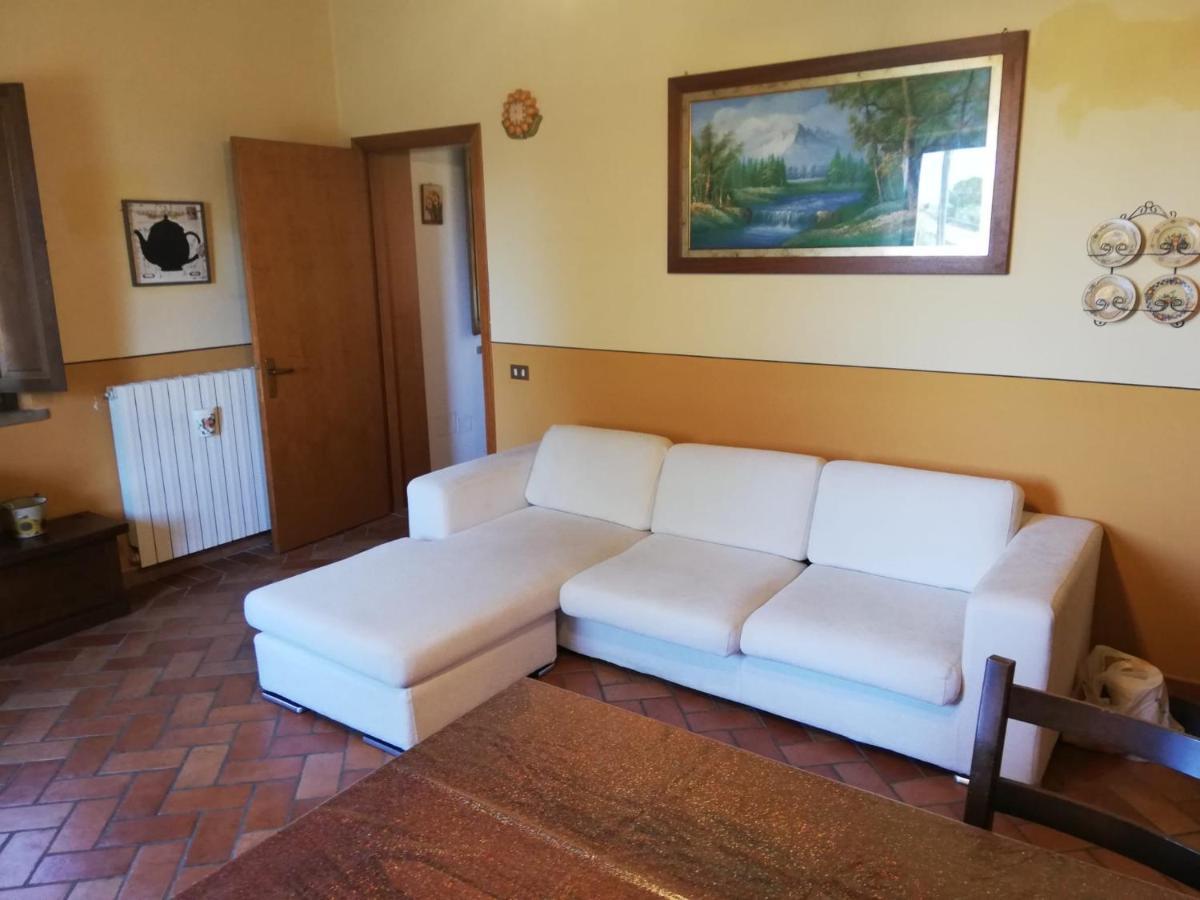 L'Aia Degli Olivi Apartman Vada Kültér fotó