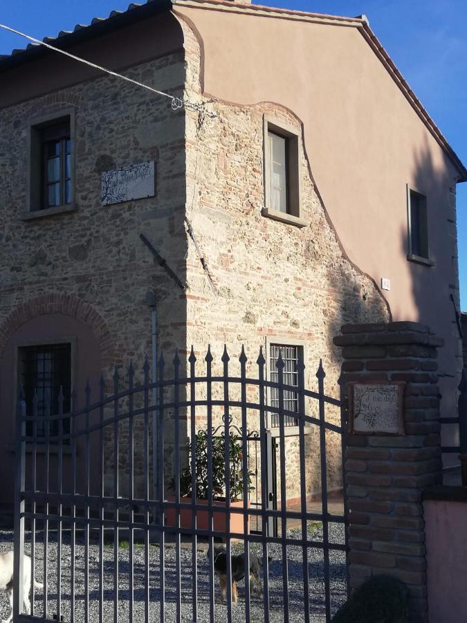 L'Aia Degli Olivi Apartman Vada Kültér fotó
