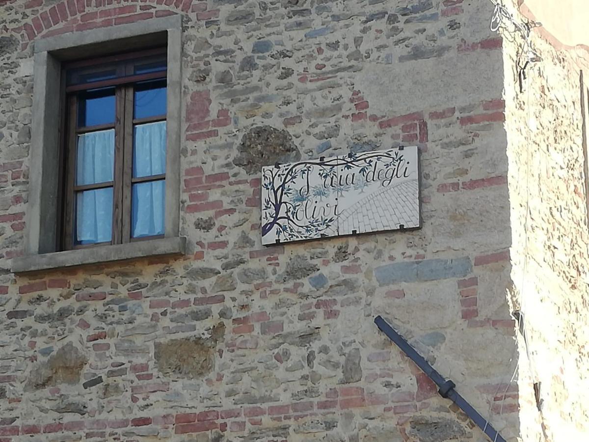 L'Aia Degli Olivi Apartman Vada Kültér fotó